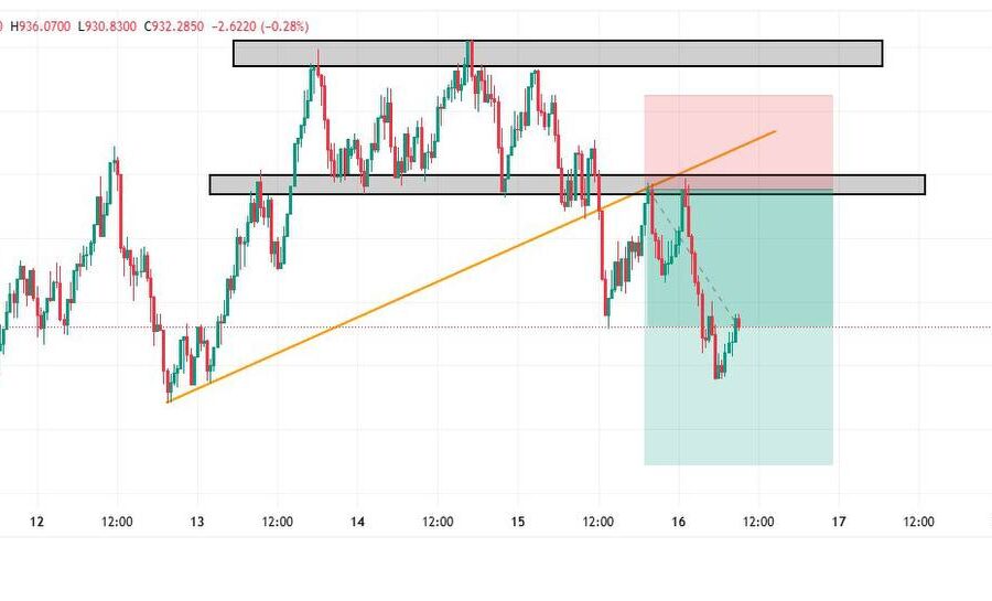 photo_2025-11-22_04-21-01